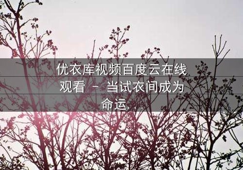 优衣库视频百度云在线观看 - 当试衣间成为命运转折点,你敢点开吗?